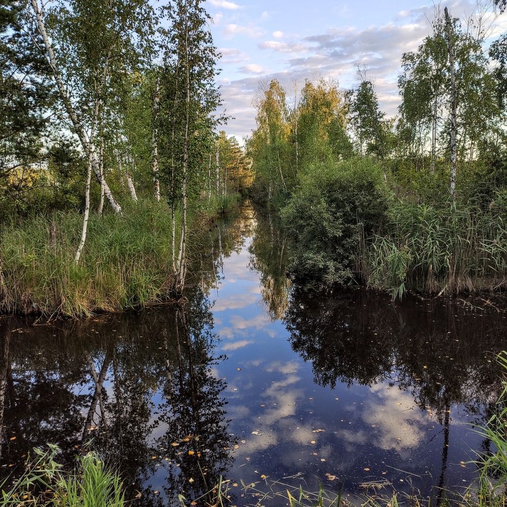 Photograph by Анна Андреевна