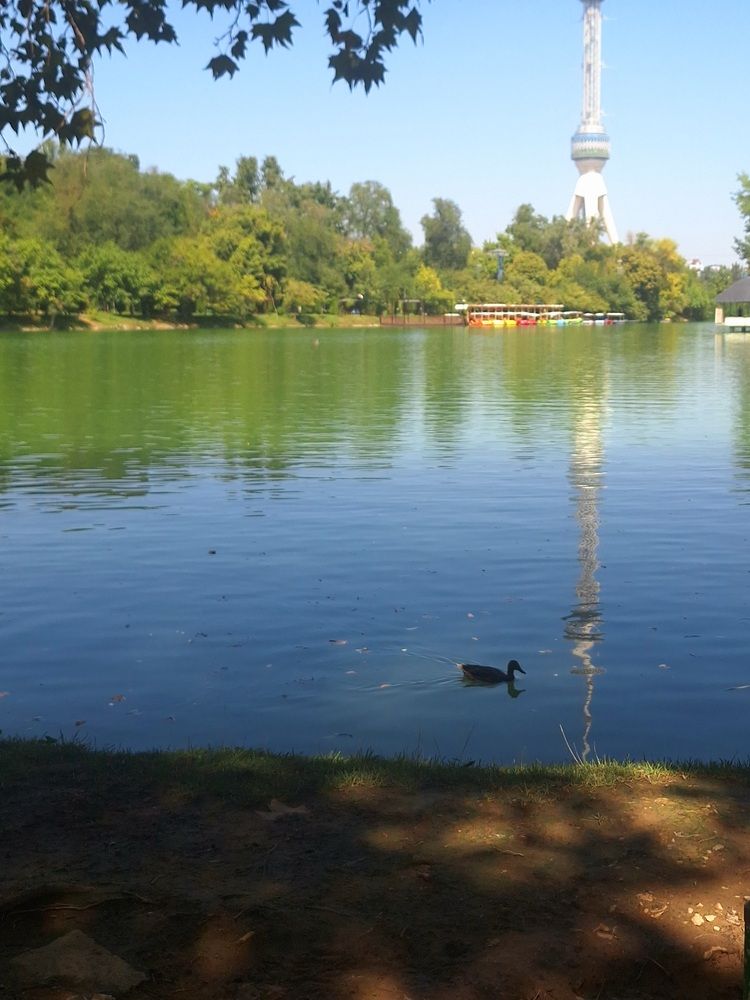 Фотография автора Elena Safarova