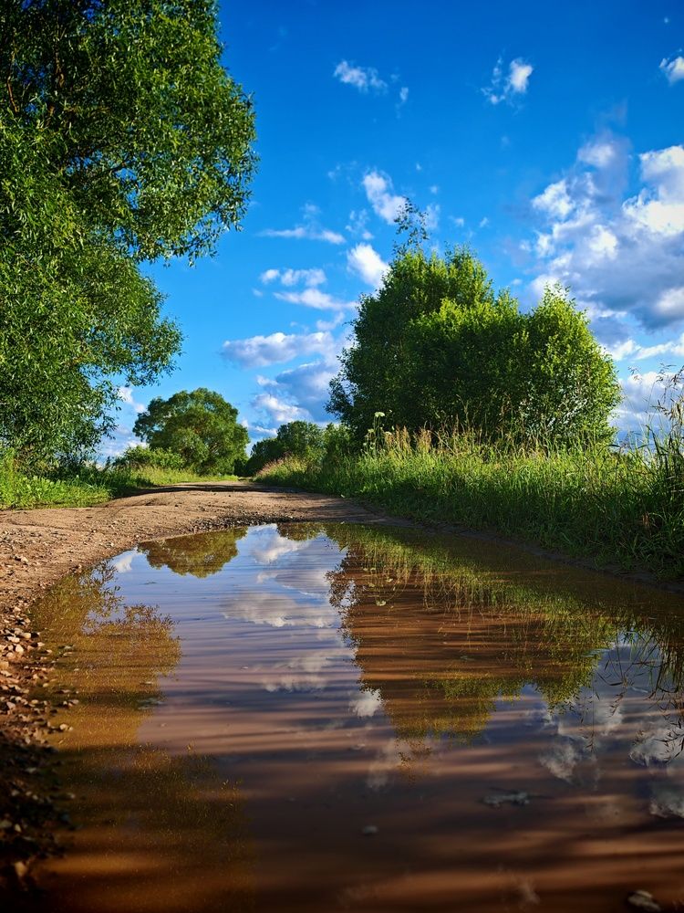 Фотография автора Юлия Шидловская