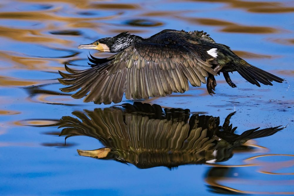 Photograph by David Manusevich