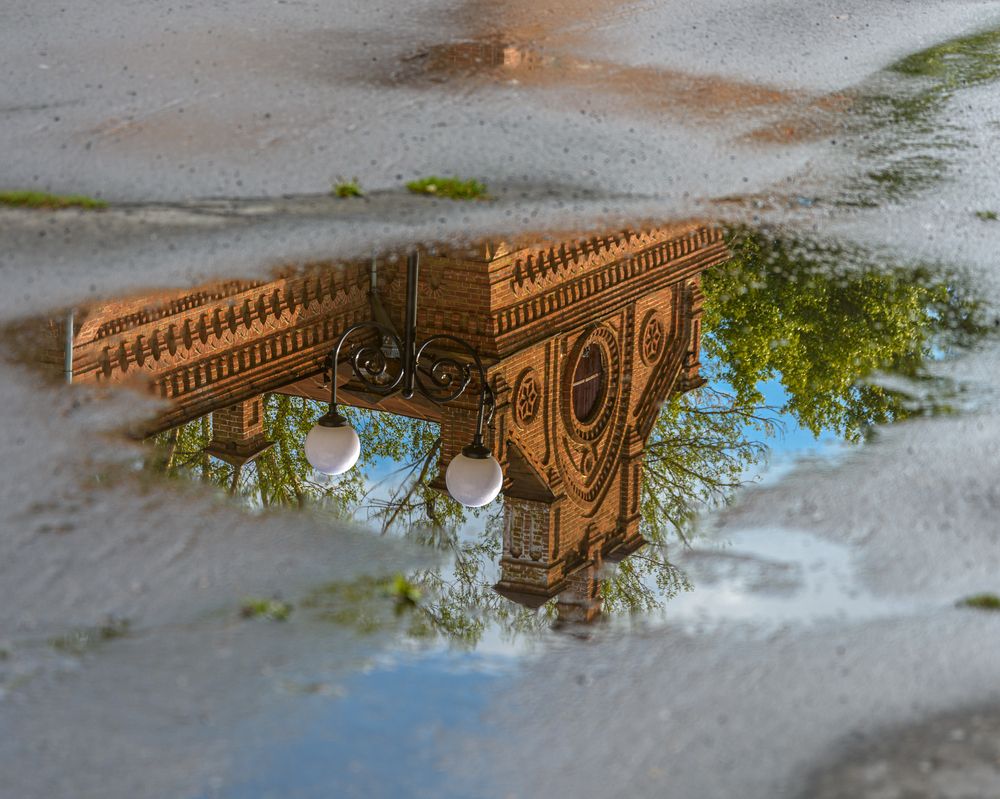 Фотография автора Владимир Зубков