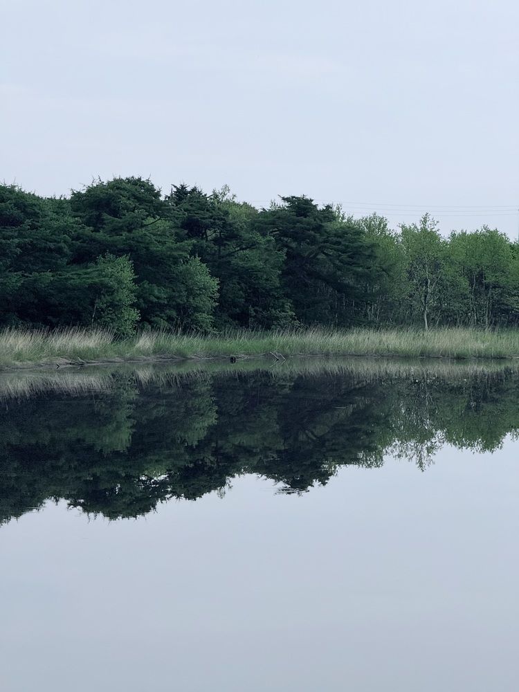 Фотография автора Елена Меньшикова