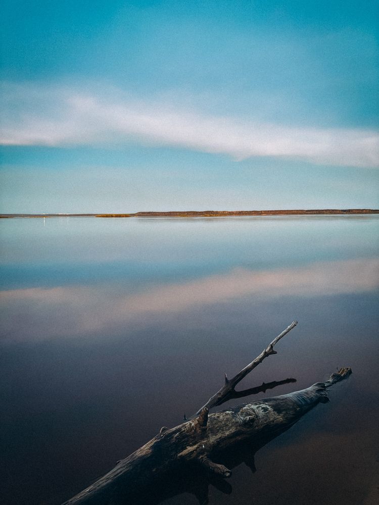 Photograph by Марина Полухина