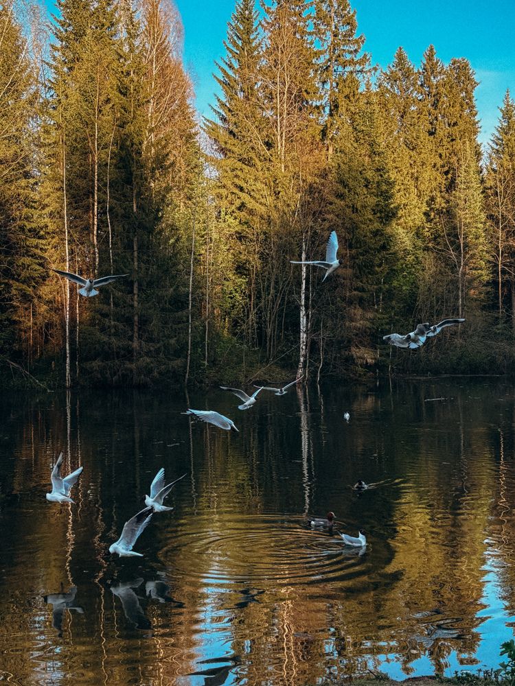 Photograph by Марина Полухина