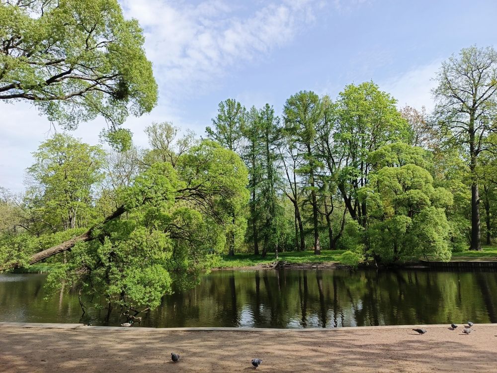 Photograph by Наталья Покрепина