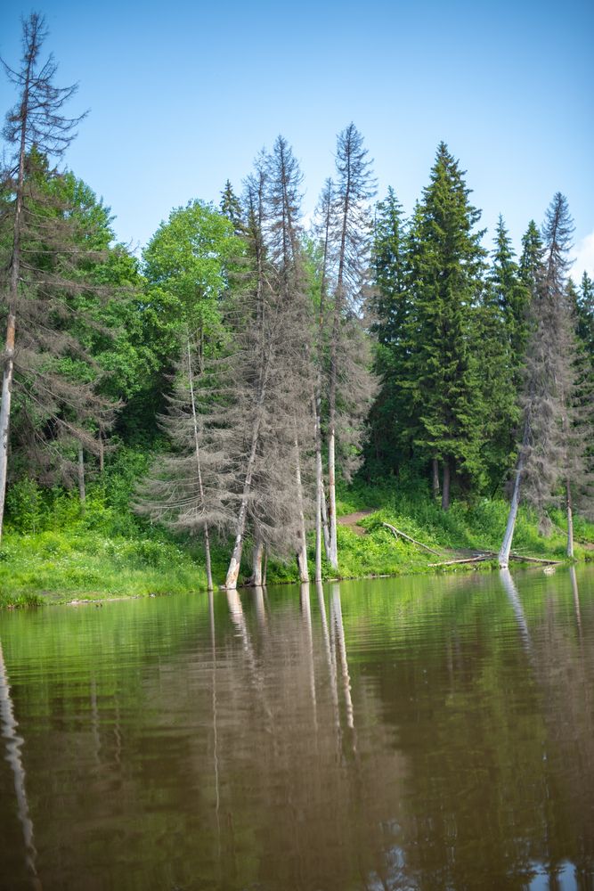 Photograph by Ксения Шилина