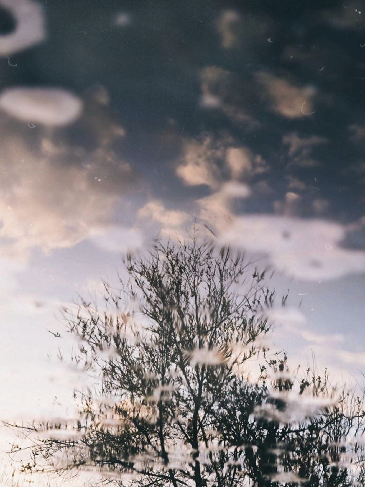 Фотография автора Екатерина Солодовник