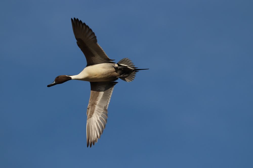 Photograph by Se Lena