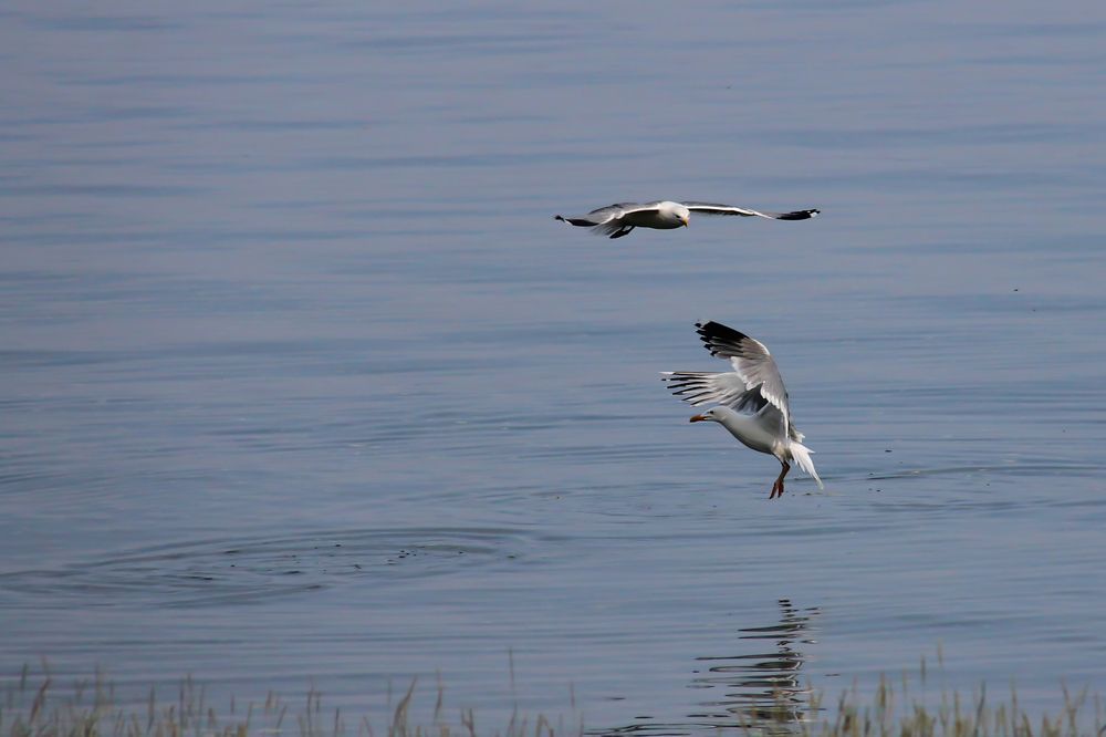 Фотография автора Юдинских Марина