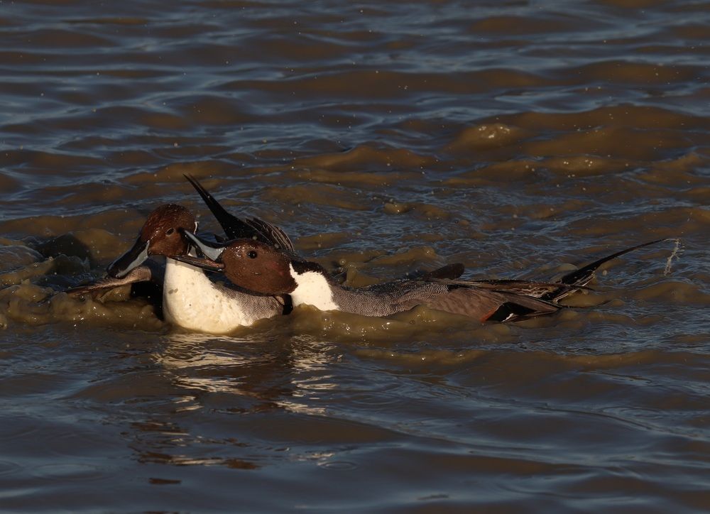 Photograph by Se Lena