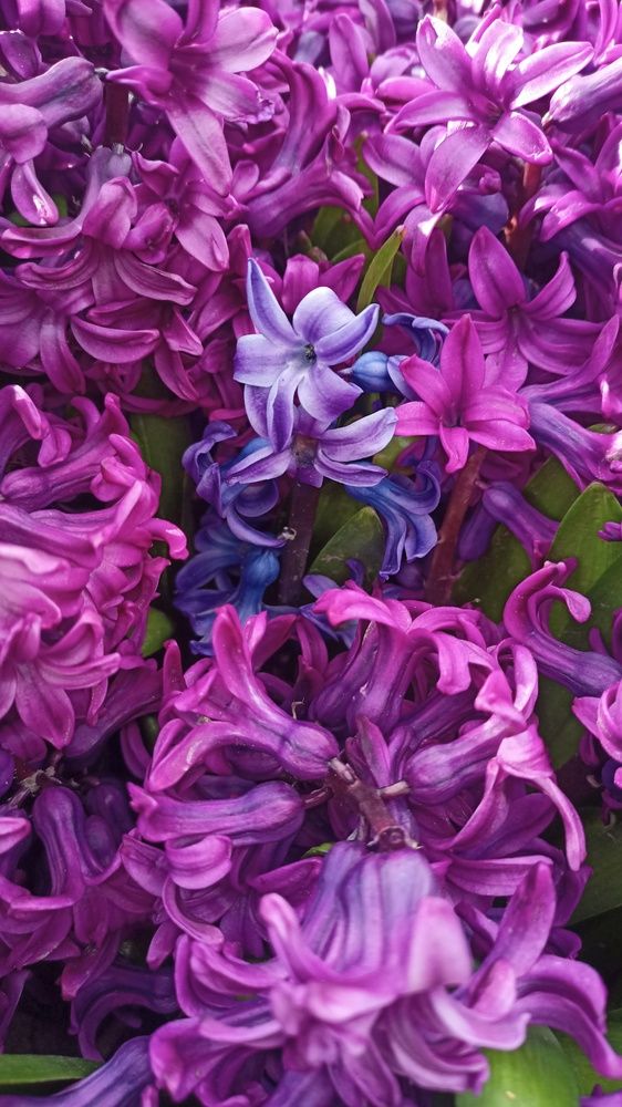 Photograph by Валерий Верещако