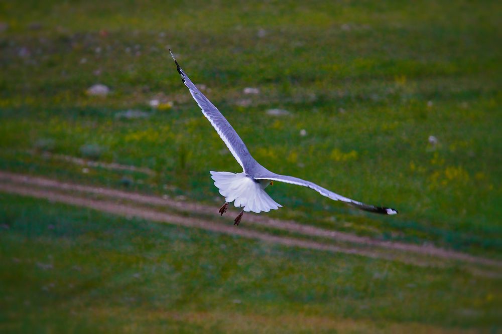 Фотография автора Юдинских Марина