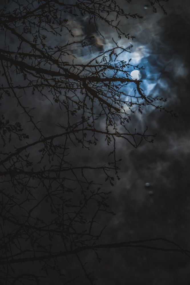 Photograph by Victoria Mogulyan