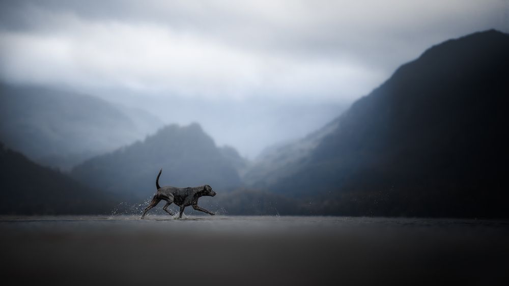 Photograph by Lena Lewis