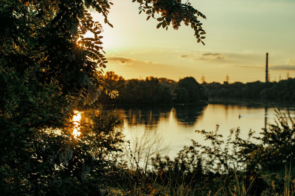 Photograph by Victoria Mogulyan