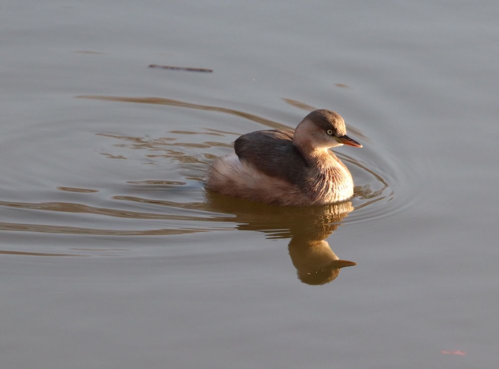 Photograph by Se Lena