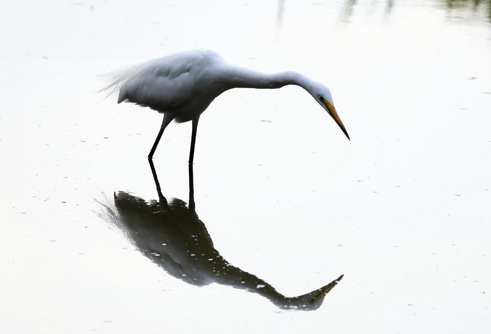 Photograph by Se Lena