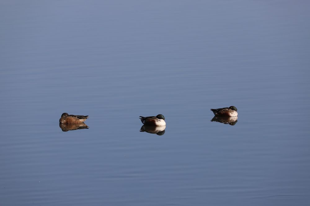 Photograph by Se Lena