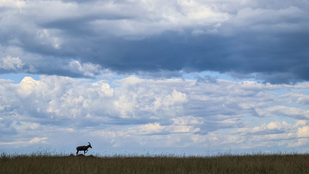 Walk on the Horizon!