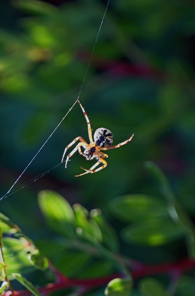 Photograph by Sotiris Makrygiannis