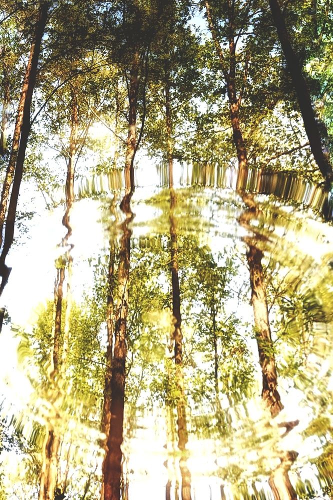 Photograph by Stella Szpinek