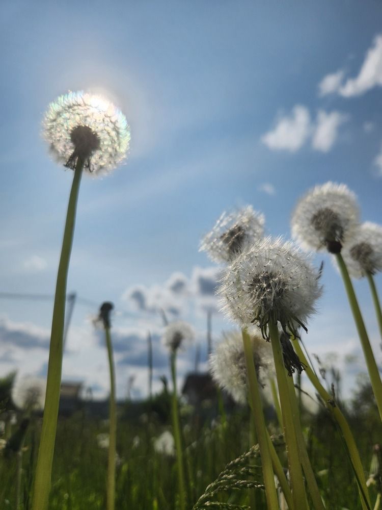 Photograph by Elena Shliachkova