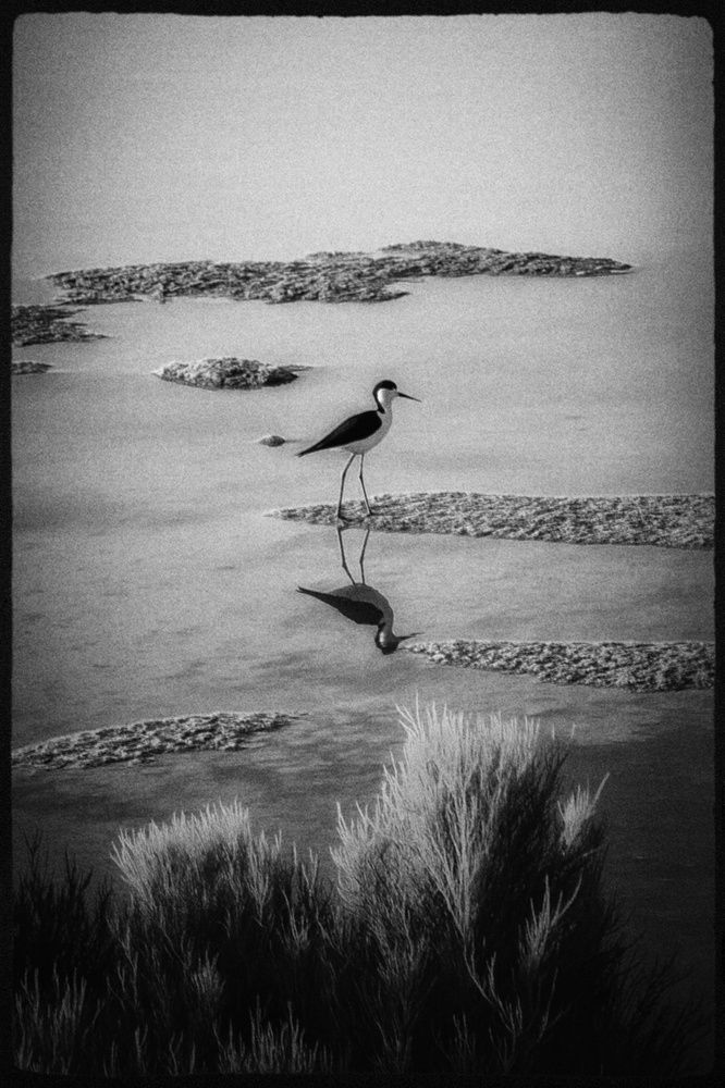 Photograph by Anwar nour