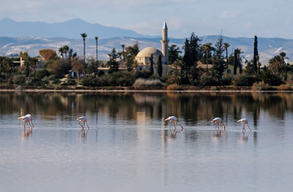 Фотография автора Попова Елена