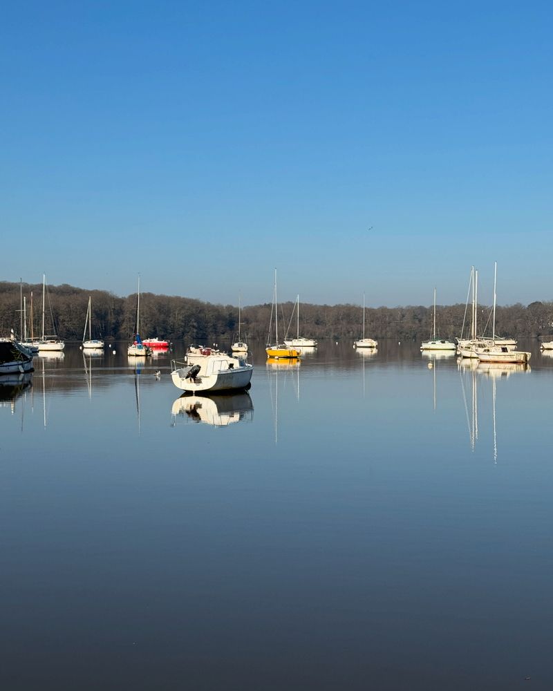 Photograph by Аlina BRAZIUL