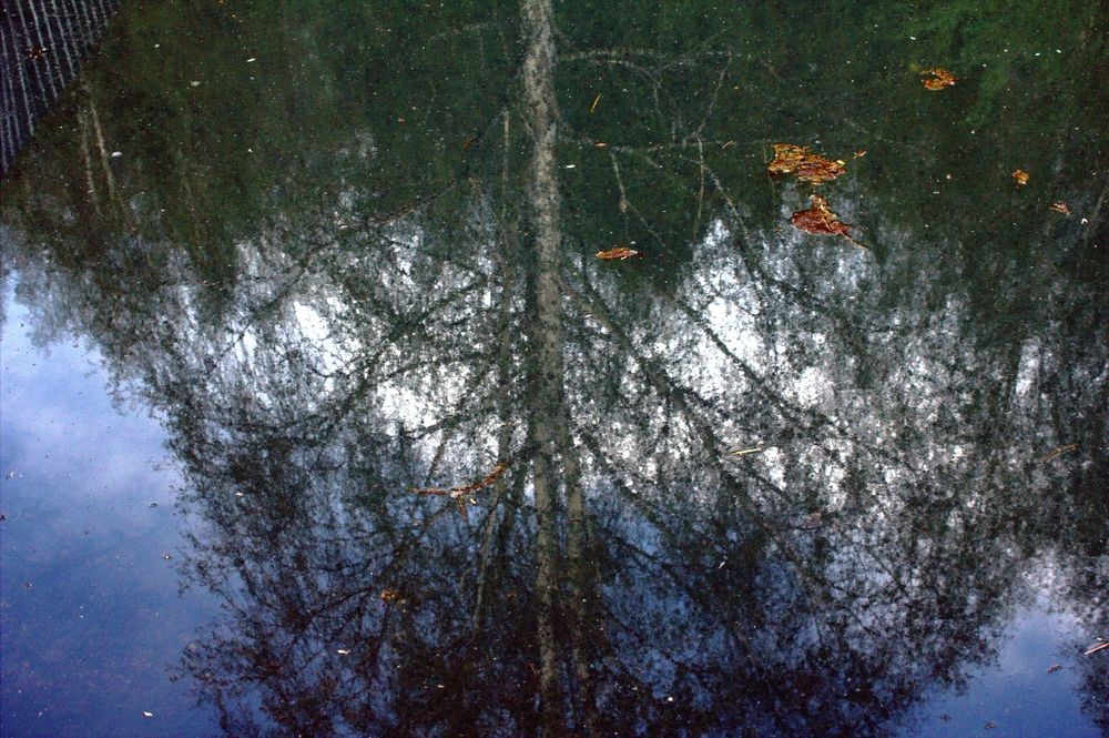 Photograph by Леонид Мартенс