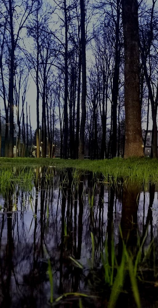 Photograph by Надежда Васильева