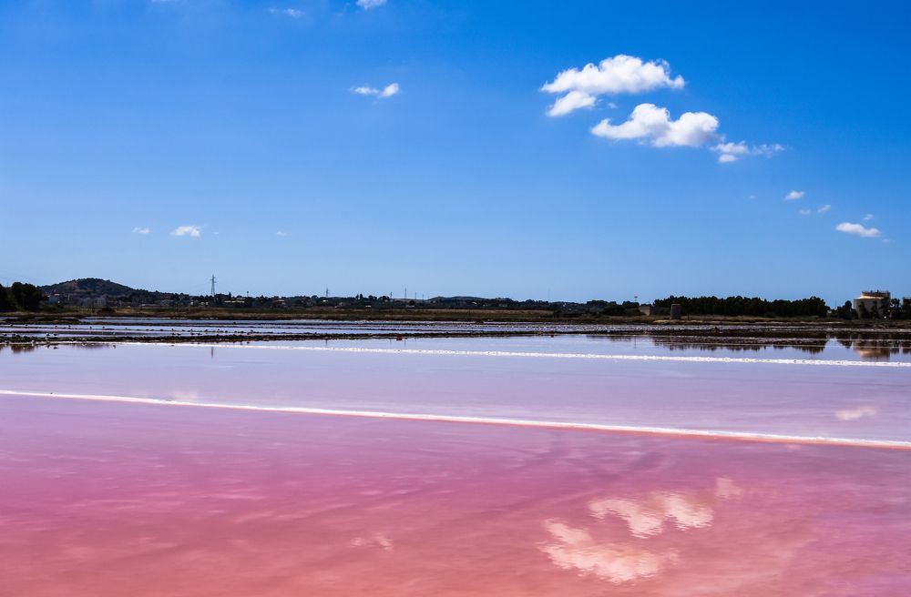 Photograph by Teresa Molinaro