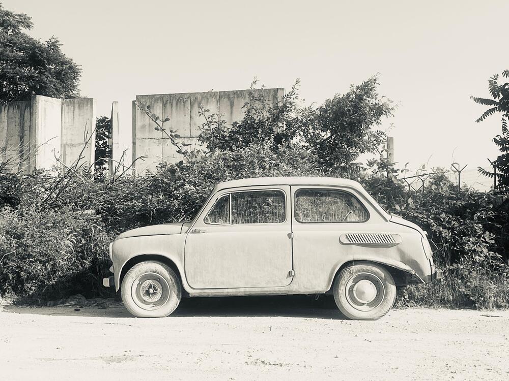 Photograph by Олеся Старицкая