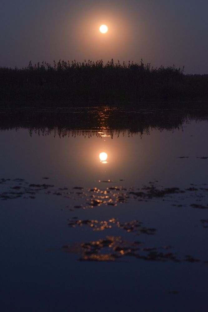 Photograph by Денис Мазычев