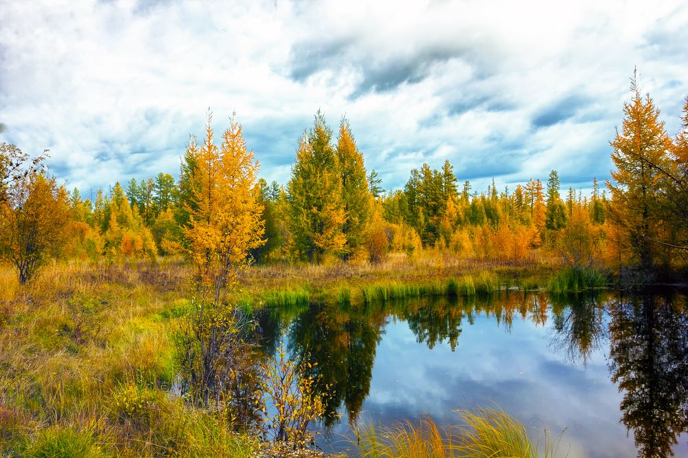 Осеннее отражение.