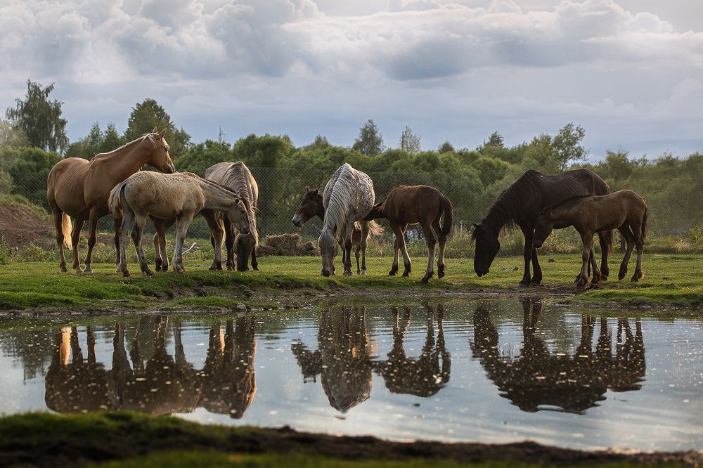 Photograph by Елена Самусенкова