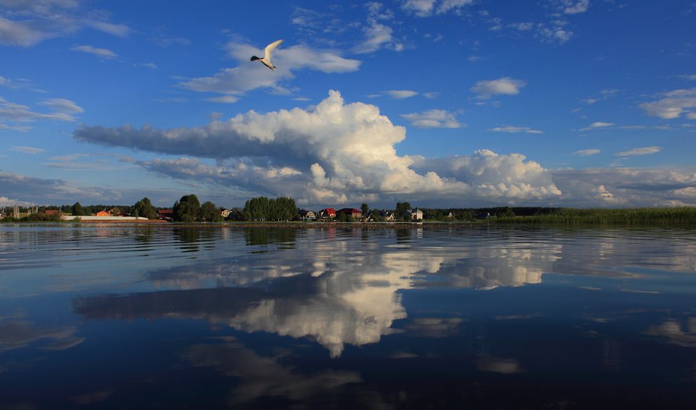 Photograph by ANDREY PERESHEIN