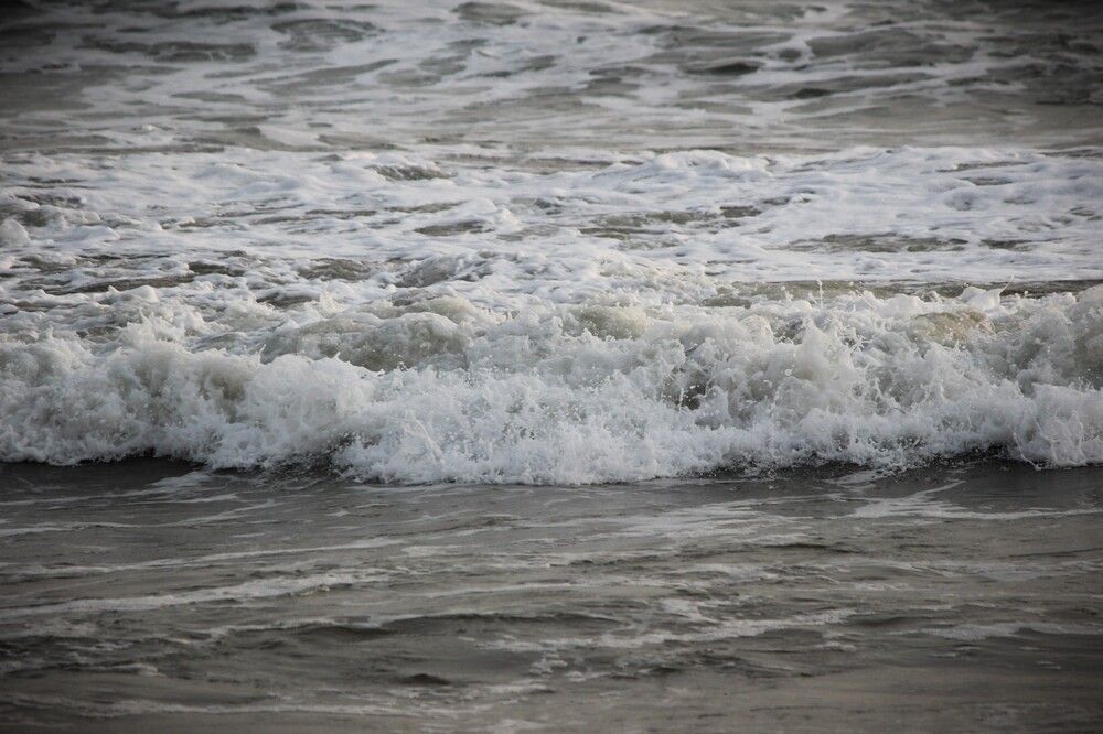 Photograph by Manish (Valmie) Joshi