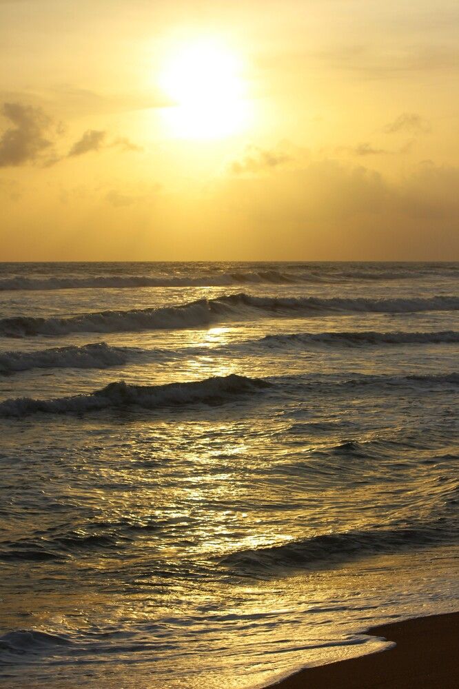 Photograph by Manish (Valmie) Joshi