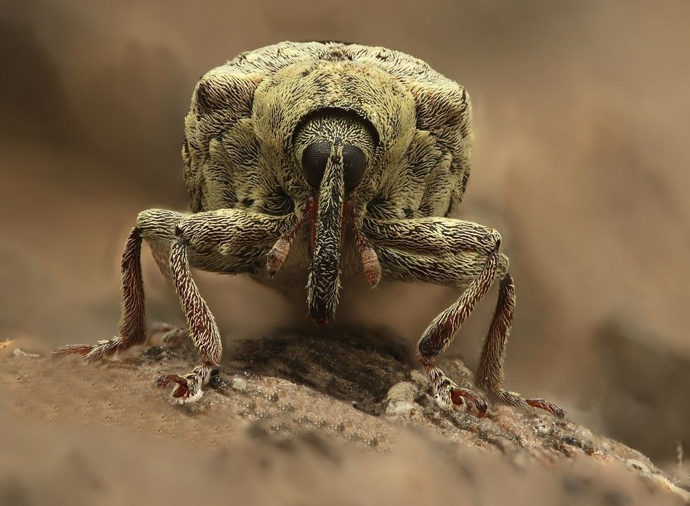 Фотография автора Eduardo Salvador Cabrera