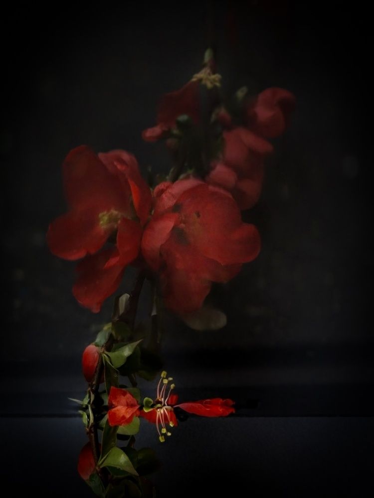 Photograph by Наталья Чурашова