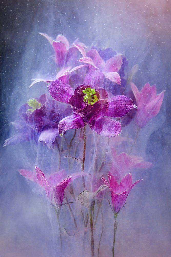 Photograph by Ivanova Inga