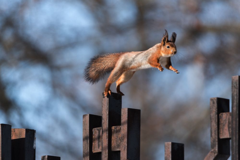 Photograph by Владимир Безбородов