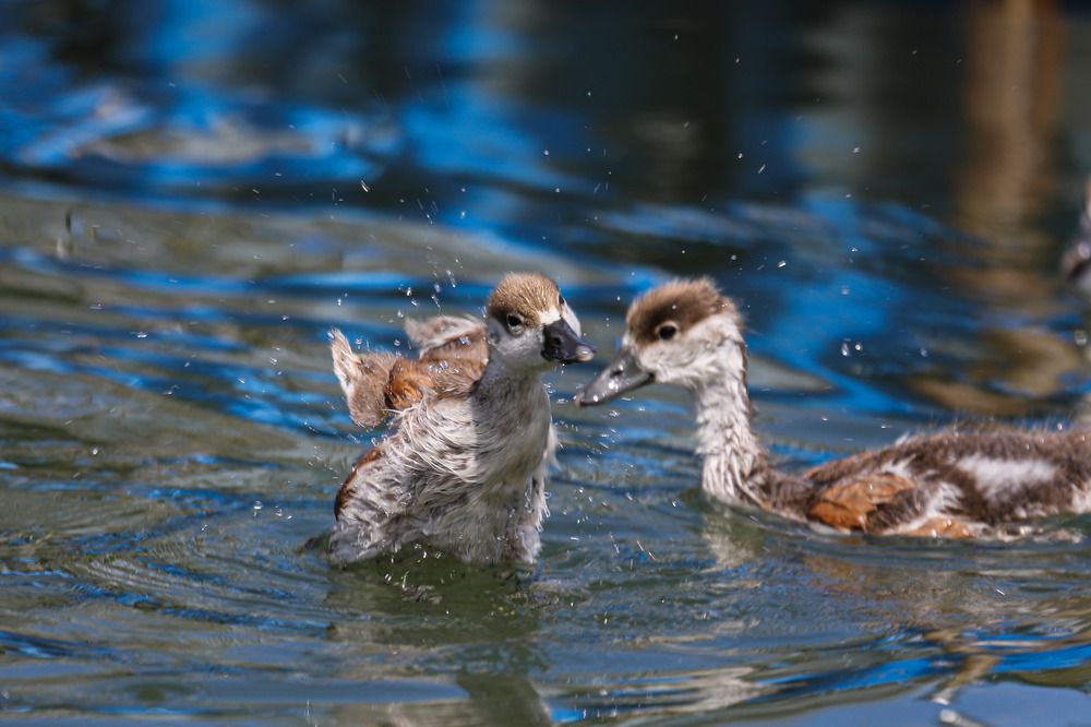 Photograph by Кульчицкий Андрей