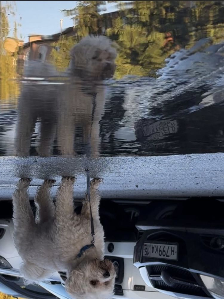 Photograph by Белла