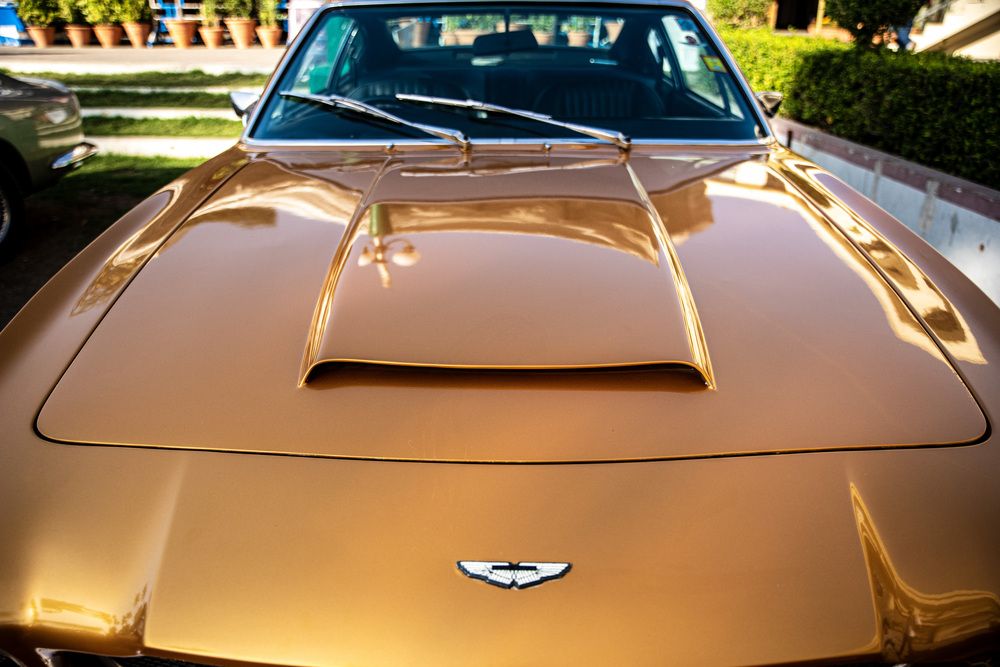 Фотография автора ZILL NIAZI