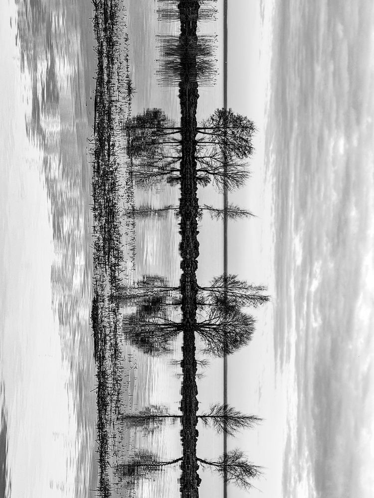 Photograph by Дарья Ищенко