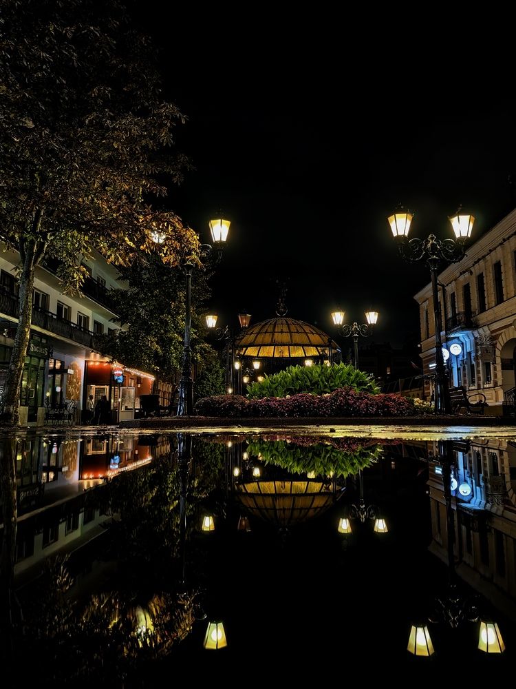 Фотография автора Ольга Панасюк