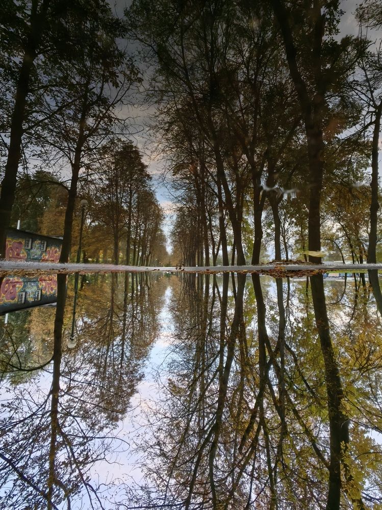 Фотография автора Ольга Панасюк