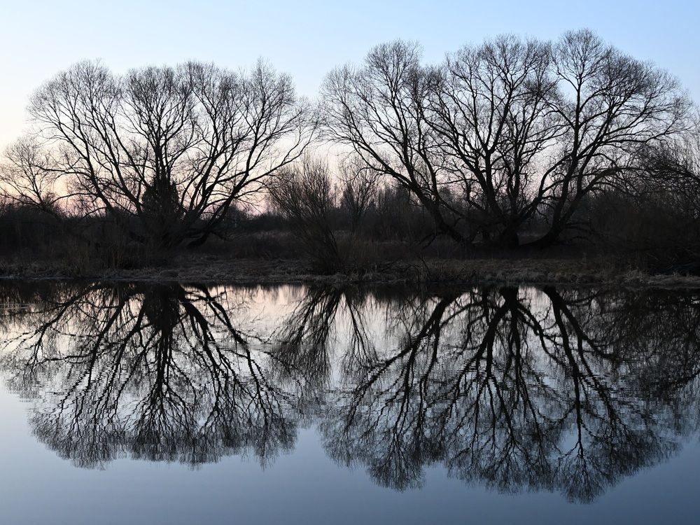 Photograph by Егор Жук